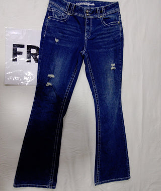 A descriptive alt text for this image