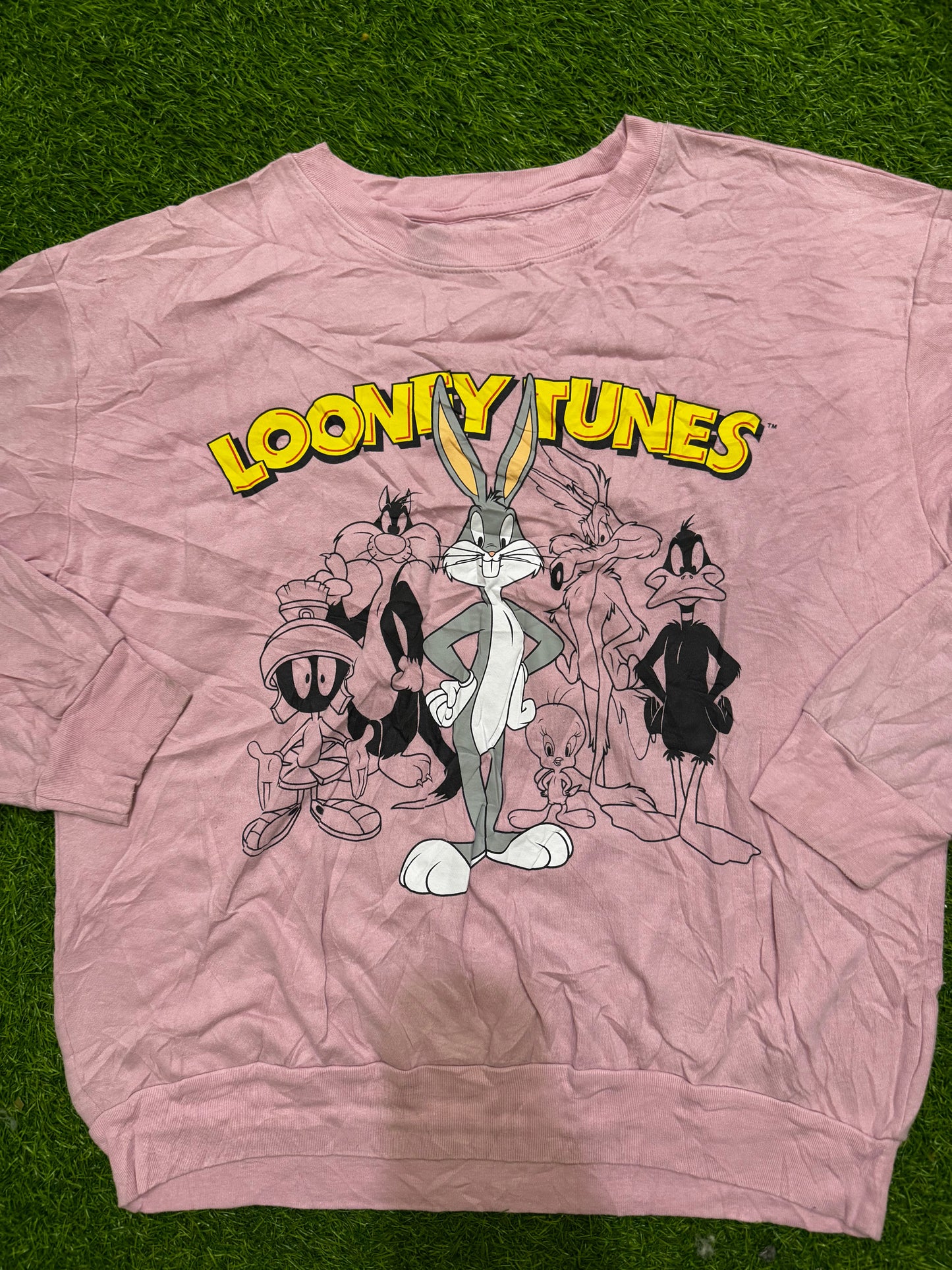 A descriptive alt text for this image