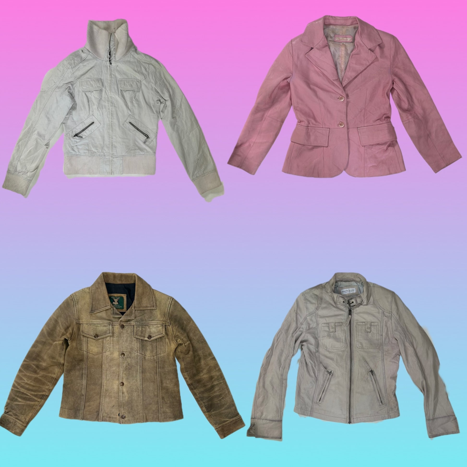 A descriptive alt text for this image