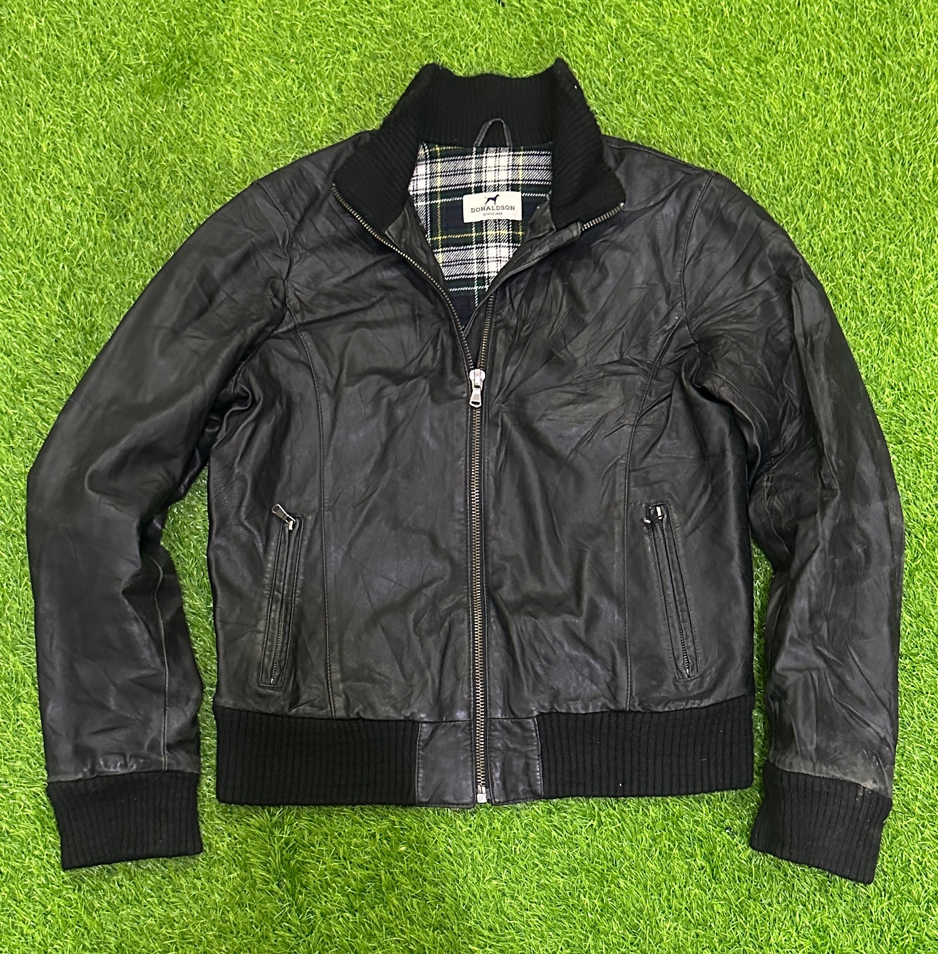 A descriptive alt text for this image