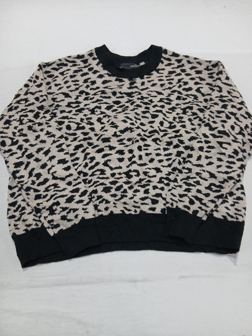 A descriptive alt text for this image