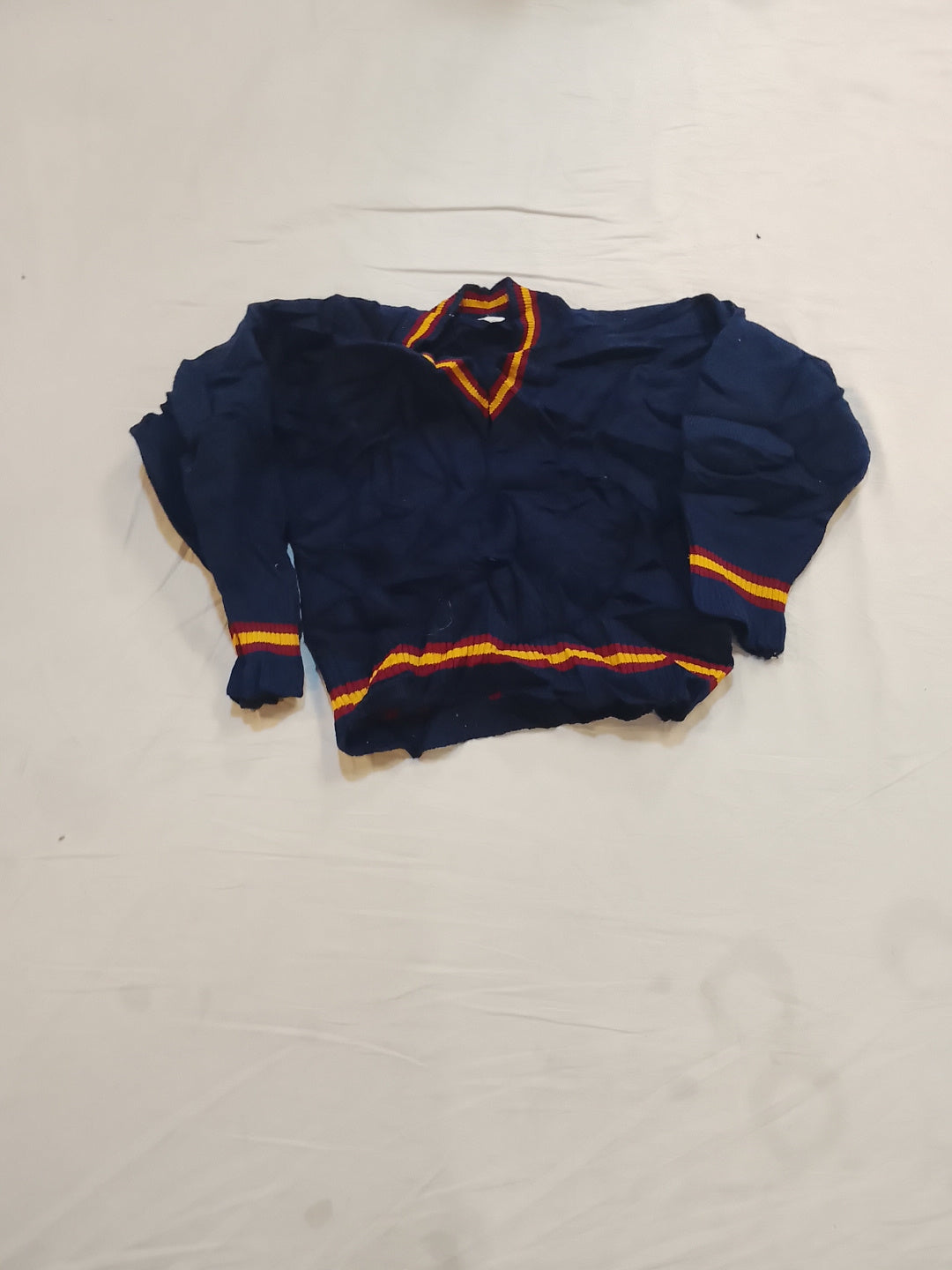 A descriptive alt text for this image