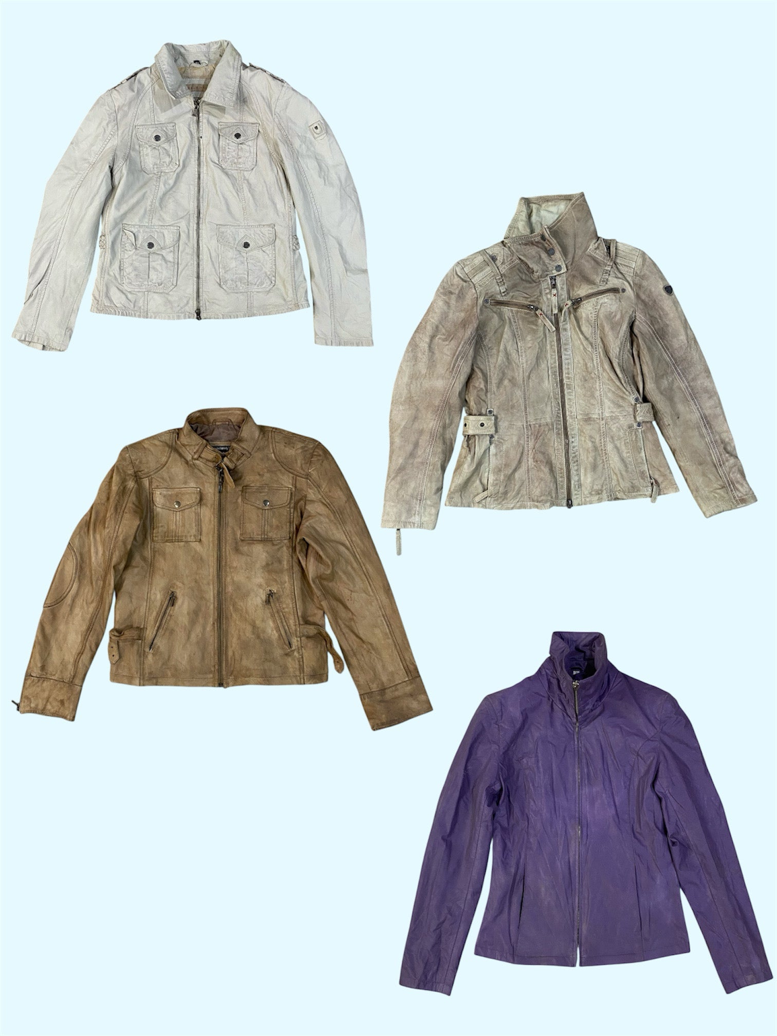 A descriptive alt text for this image