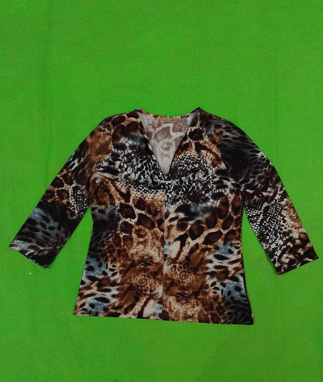 A descriptive alt text for this image