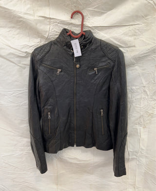 A descriptive alt text for this image