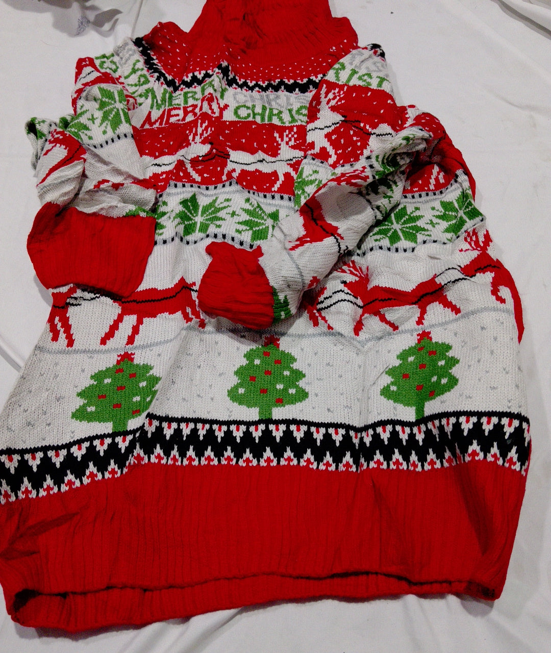 A descriptive alt text for this image