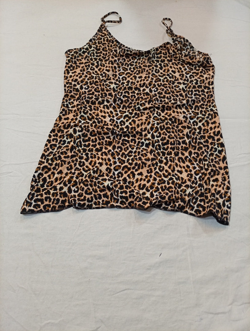 A descriptive alt text for this image