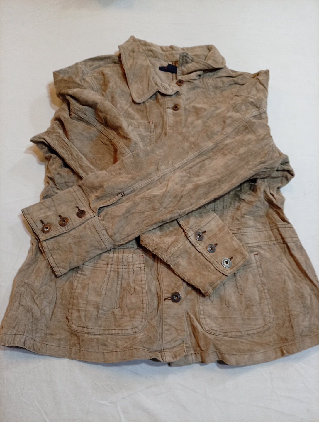 A descriptive alt text for this image