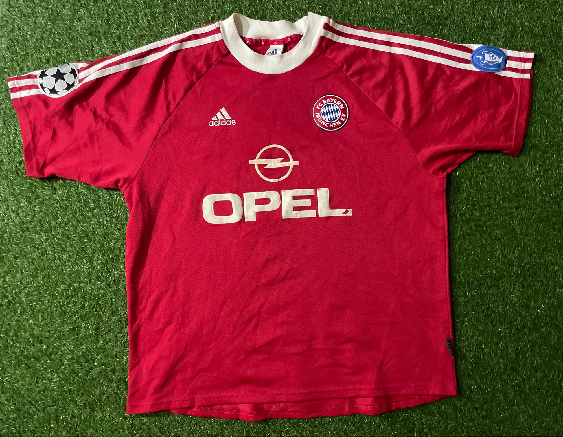 A descriptive alt text for this image