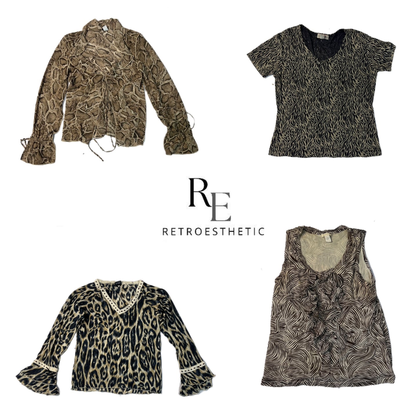 A descriptive alt text for this image