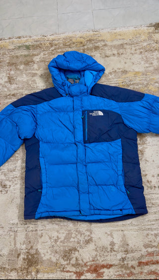 A descriptive alt text for this image