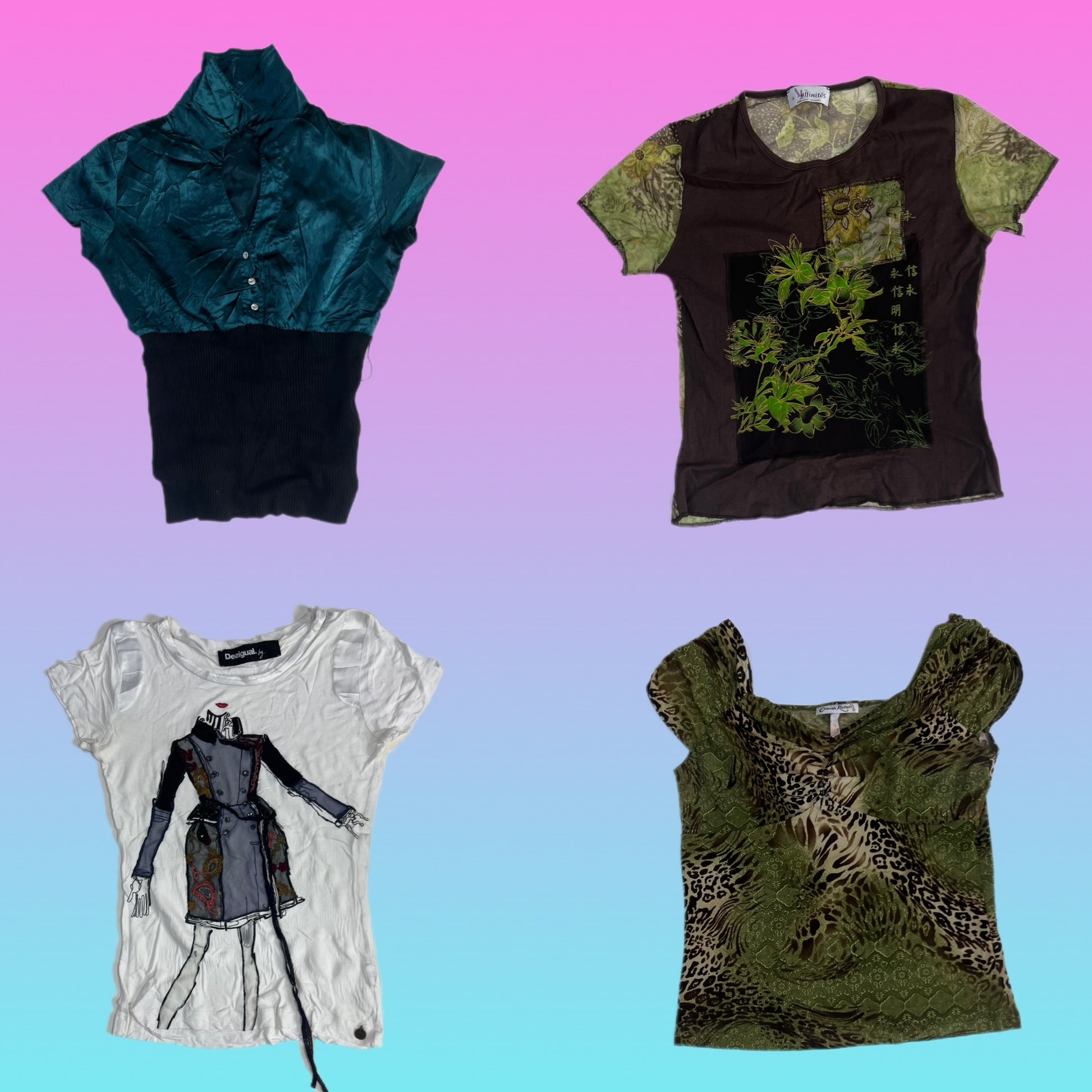 A descriptive alt text for this image