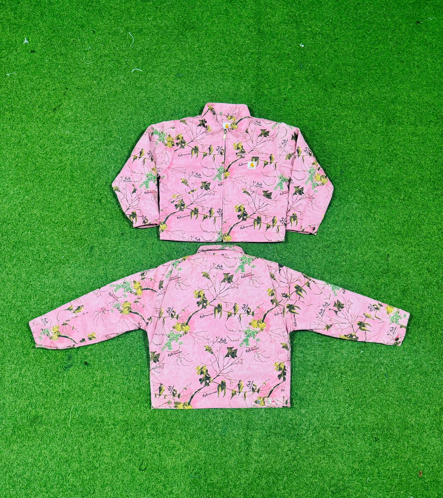 A descriptive alt text for this image