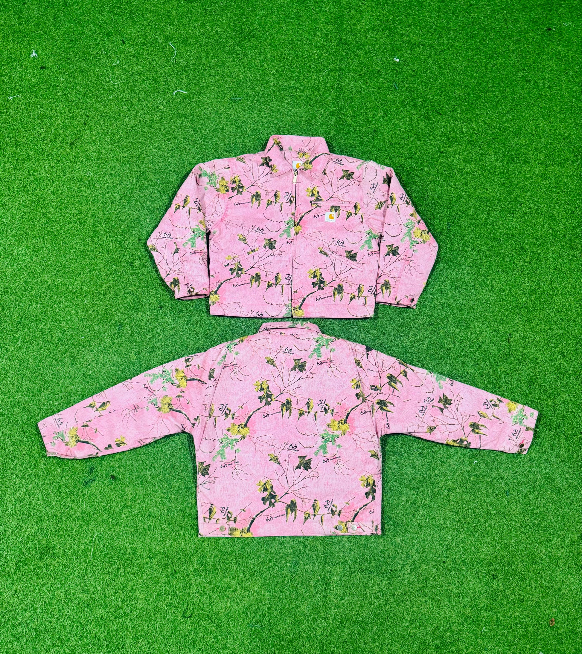 A descriptive alt text for this image