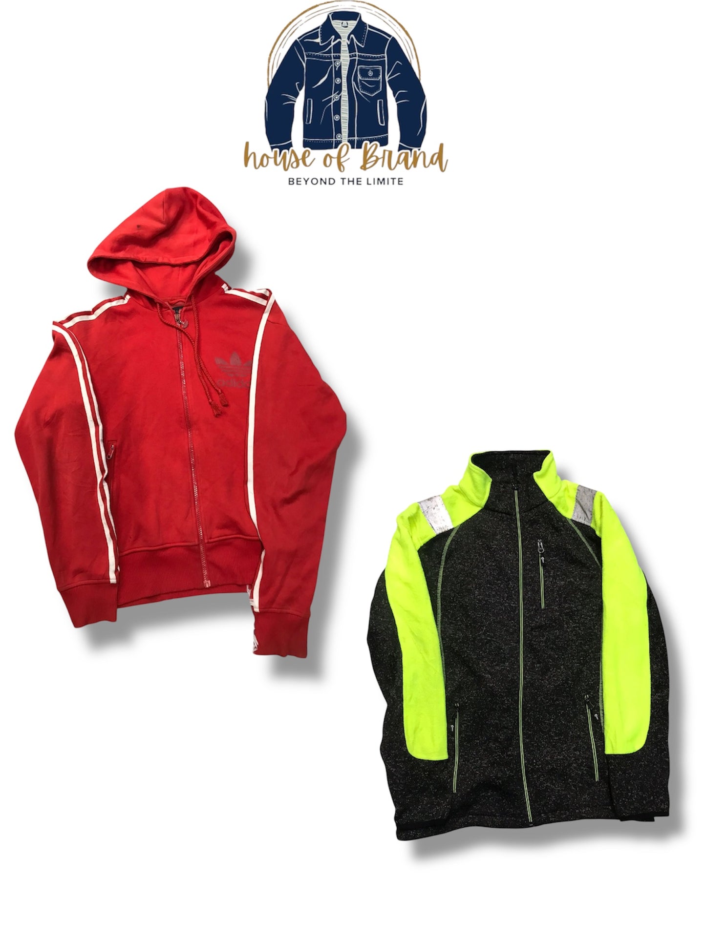 A descriptive alt text for this image