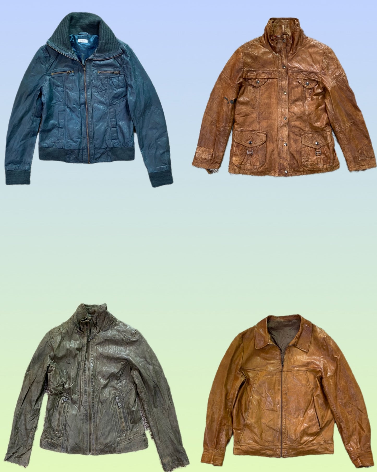 A descriptive alt text for this image