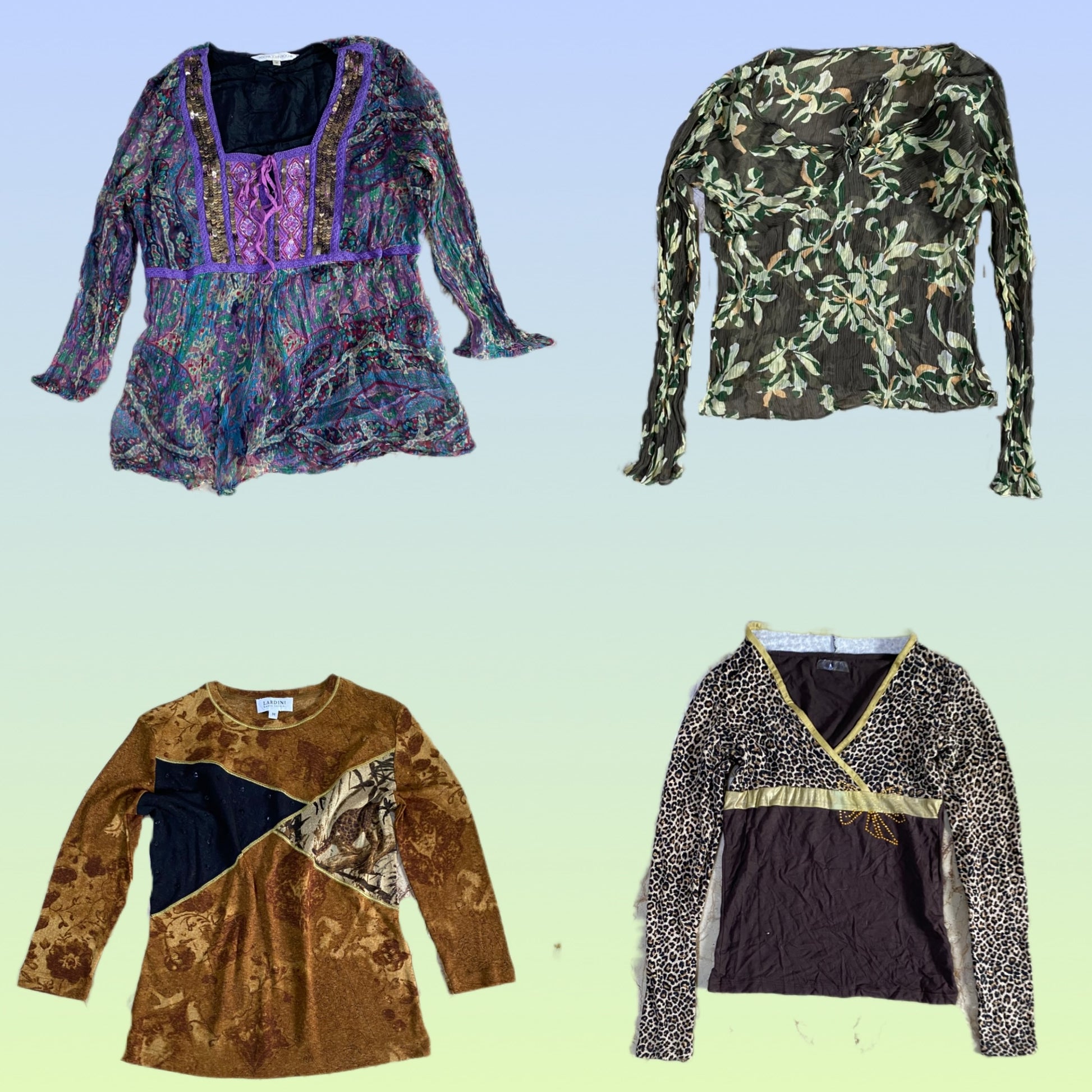 A descriptive alt text for this image