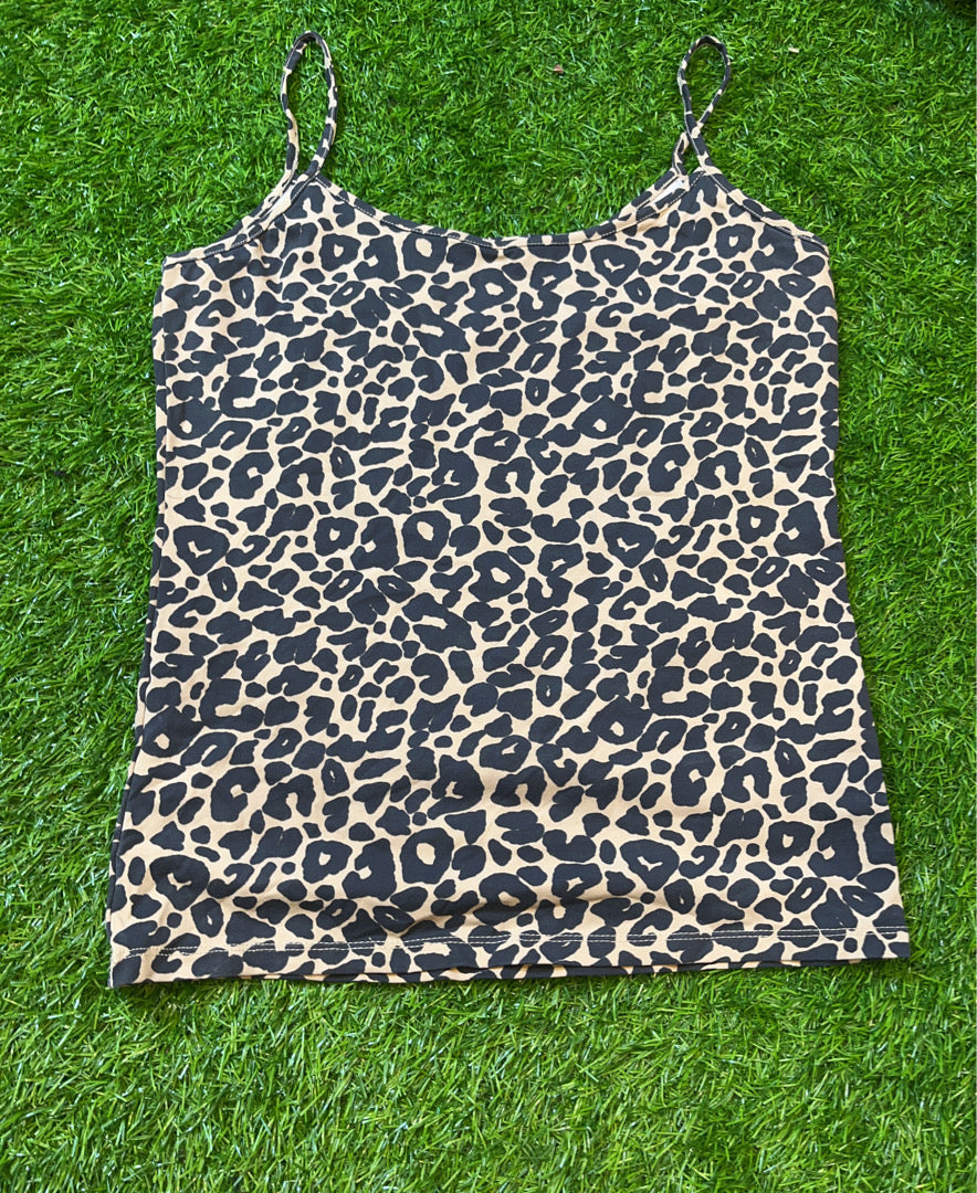 A descriptive alt text for this image