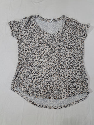 A descriptive alt text for this image