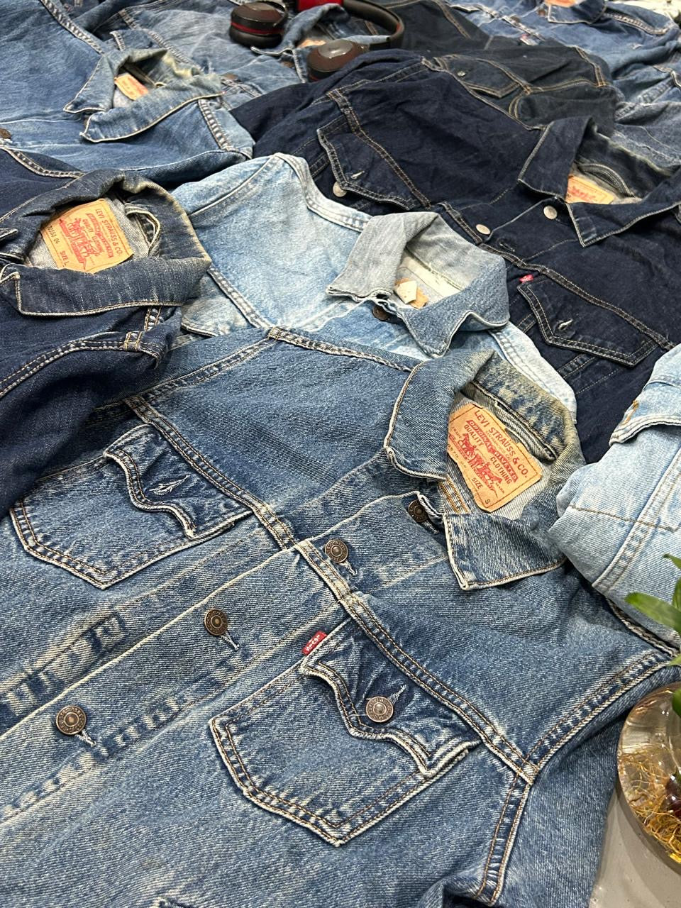 A descriptive alt text for this image