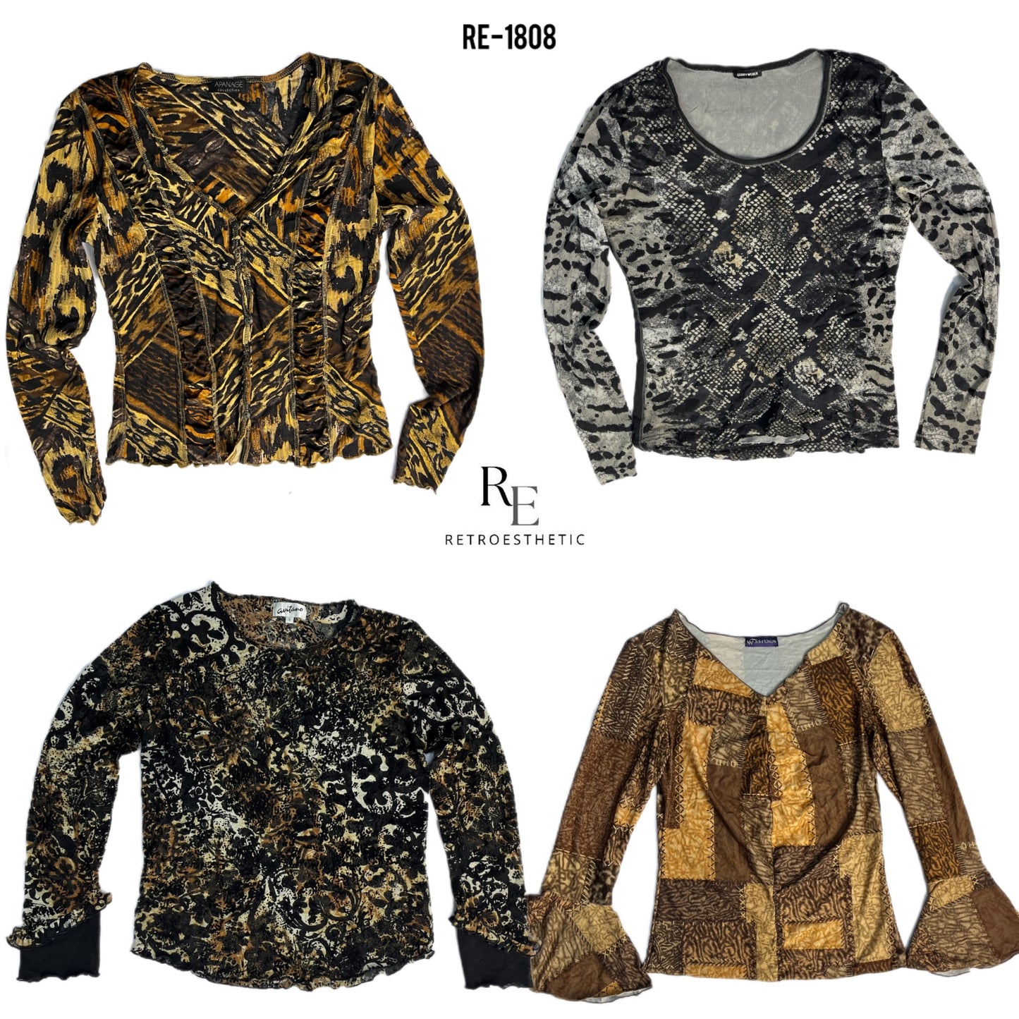 A descriptive alt text for this image