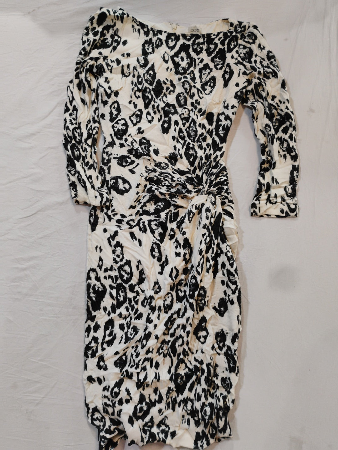 A descriptive alt text for this image