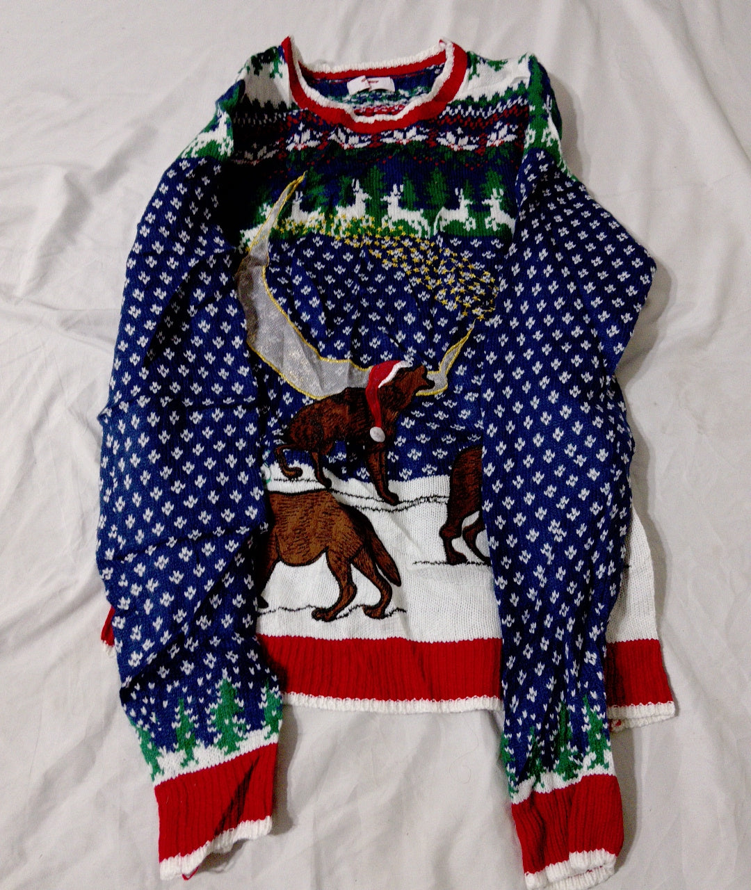 A descriptive alt text for this image