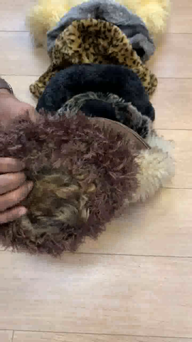 New image description.