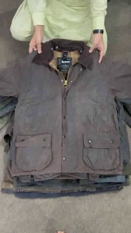 A descriptive alt text for this image