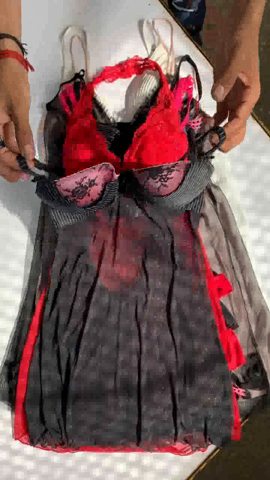 A descriptive alt text for this image