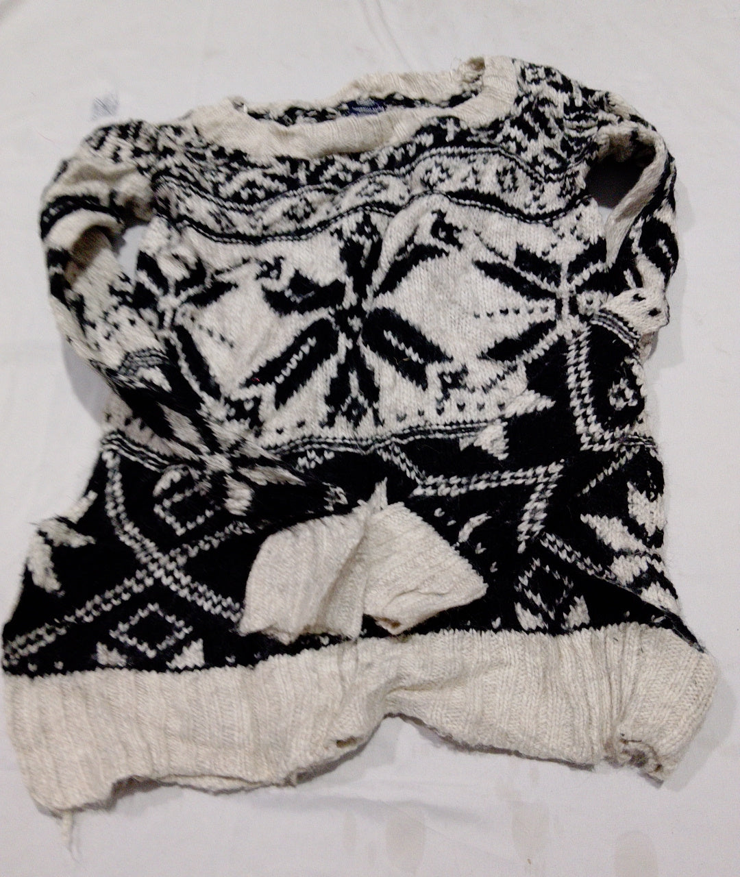 A descriptive alt text for this image