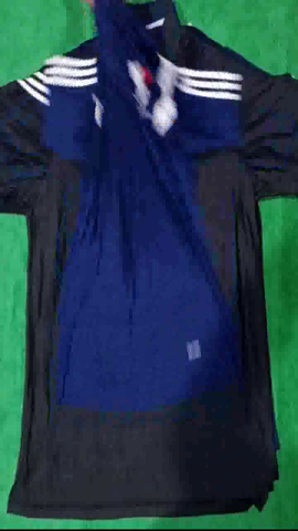 A descriptive alt text for this image