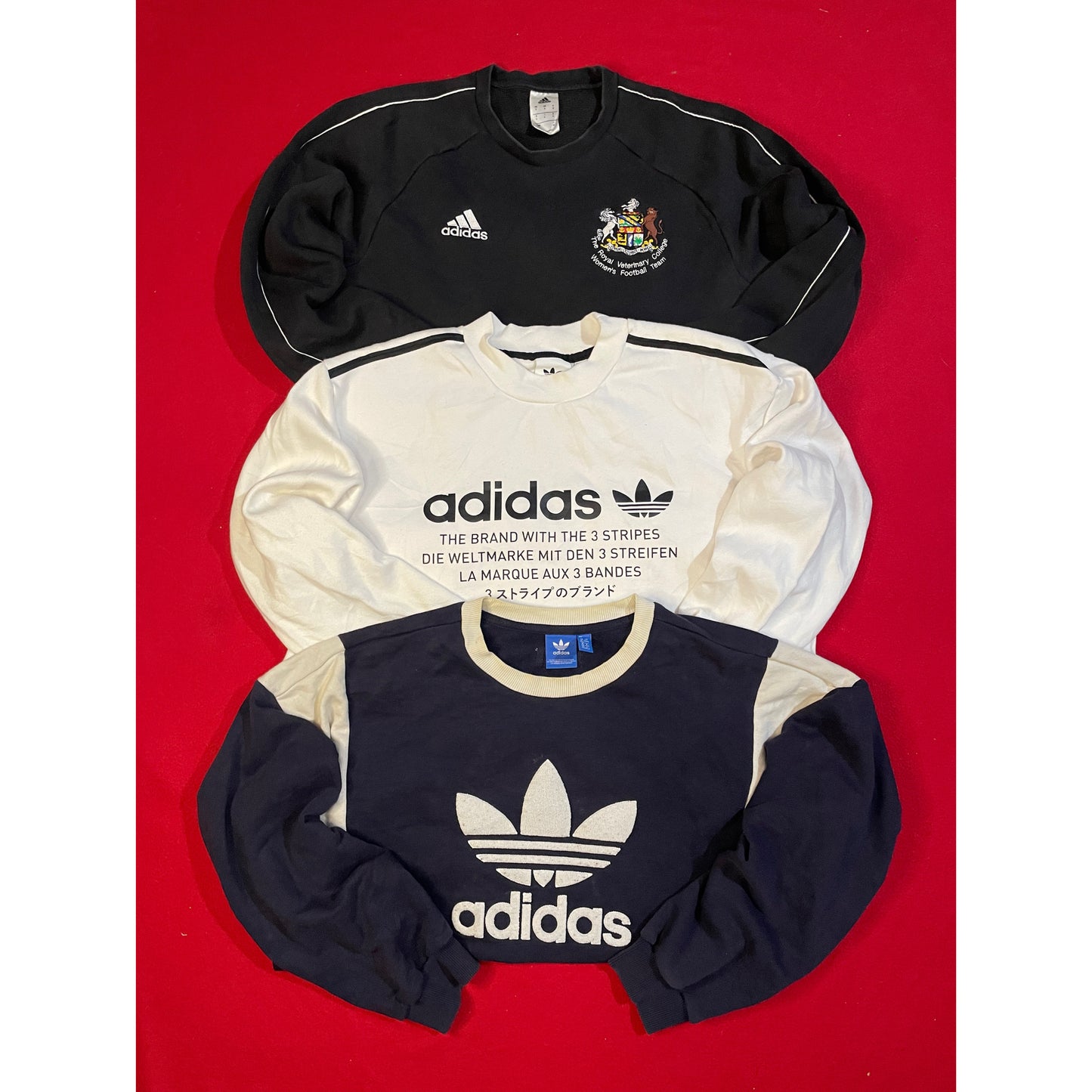 A descriptive alt text for this image