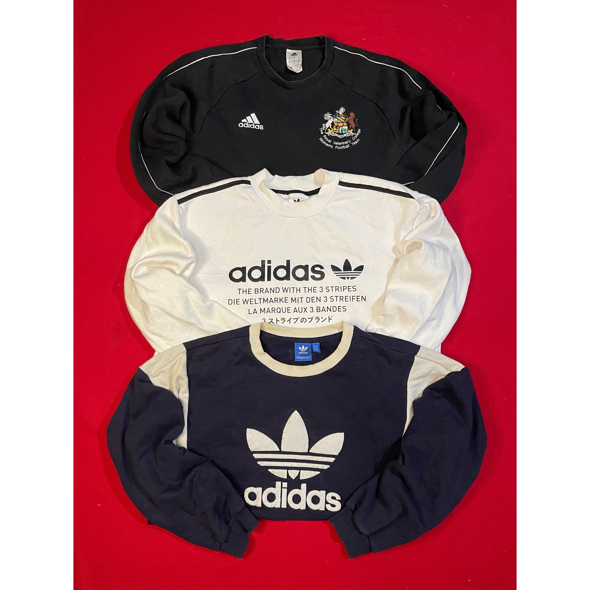 A descriptive alt text for this image