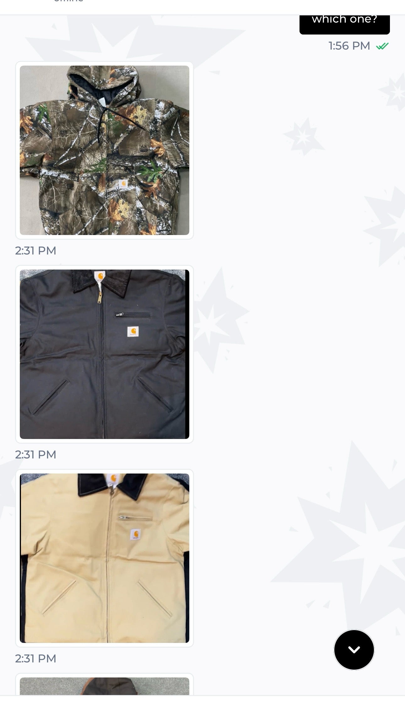 A descriptive alt text for this image