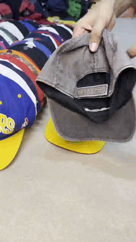 A descriptive alt text for this image