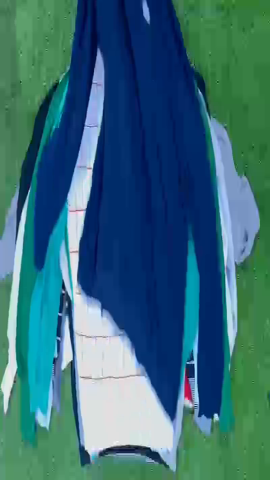 A descriptive alt text for this image