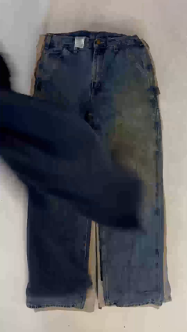 A descriptive alt text for this image