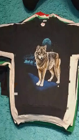 A descriptive alt text for this image