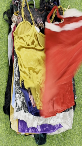 A descriptive alt text for this image