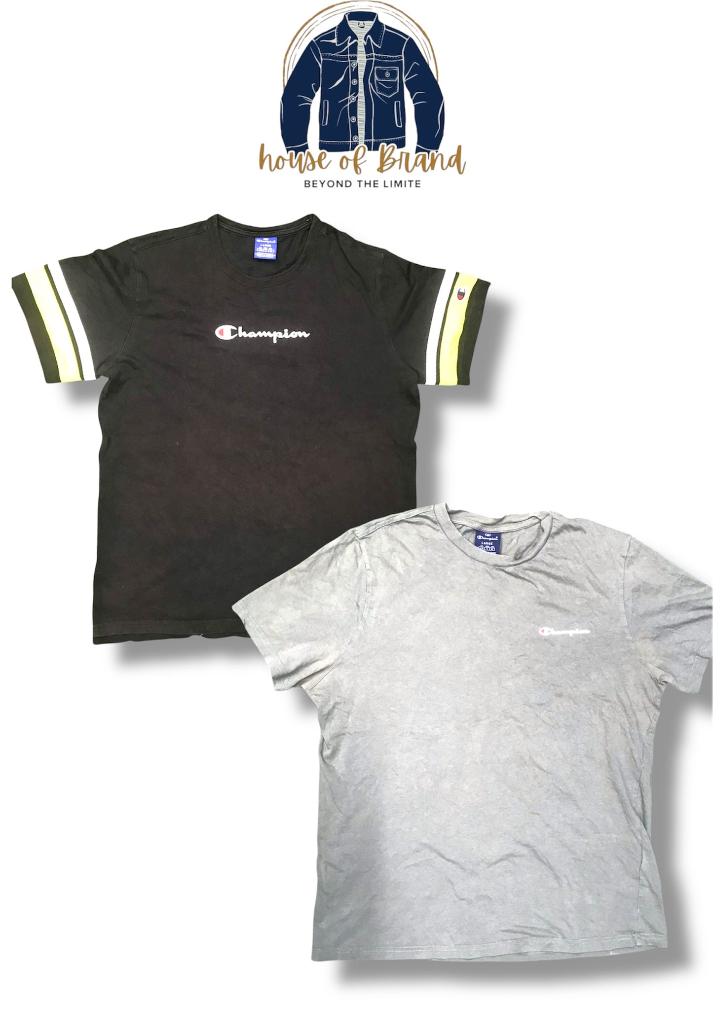 A descriptive alt text for this image