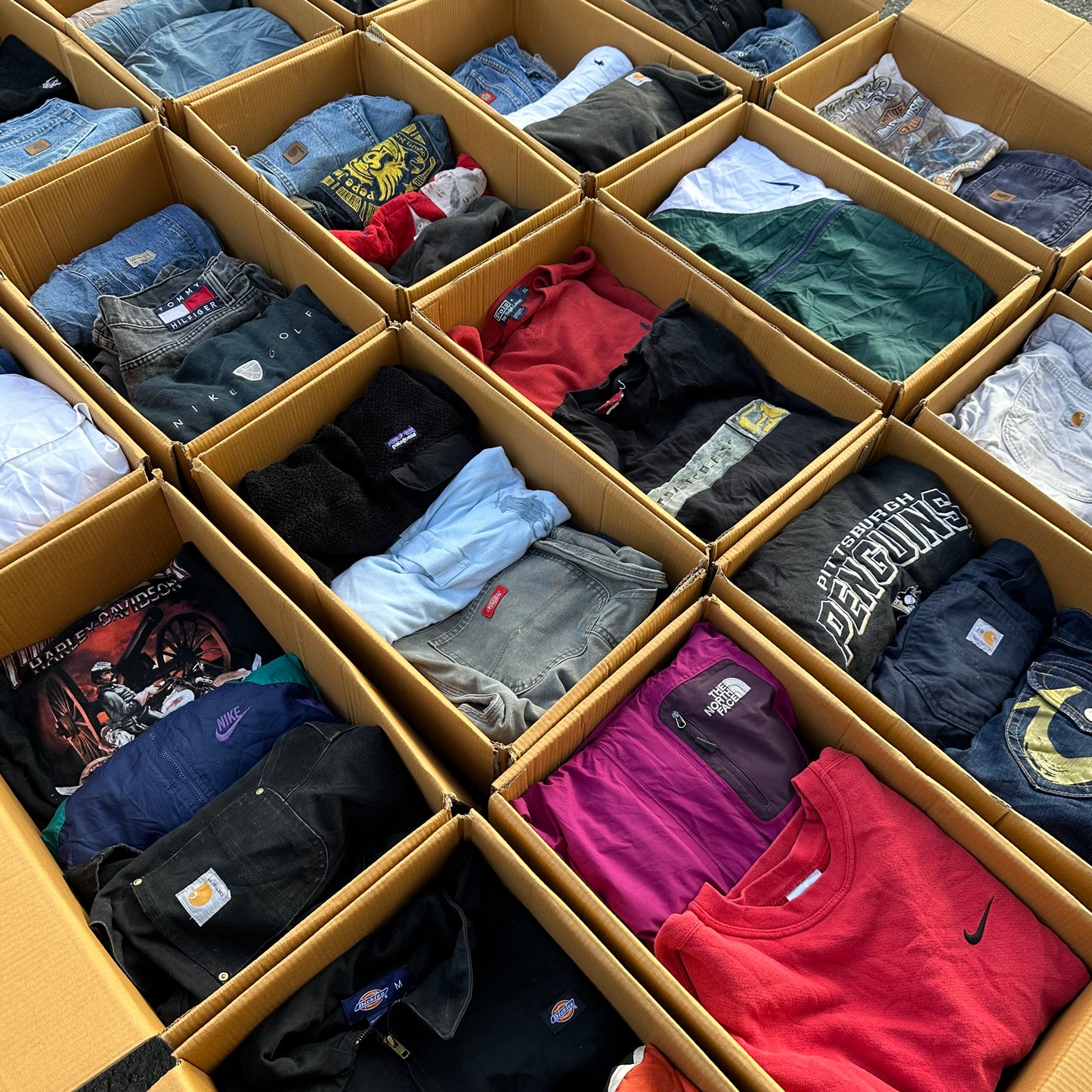 A descriptive alt text for this image