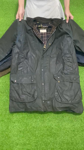 A descriptive alt text for this image
