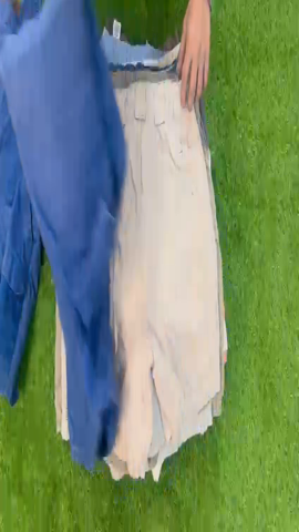 A descriptive alt text for this image