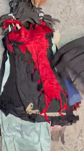 A descriptive alt text for this image