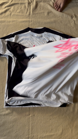 A descriptive alt text for this image