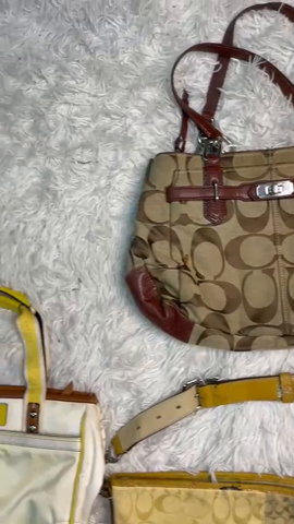 A descriptive alt text for this image