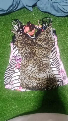 A descriptive alt text for this image