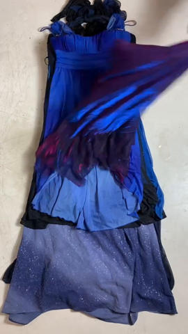 A descriptive alt text for this image