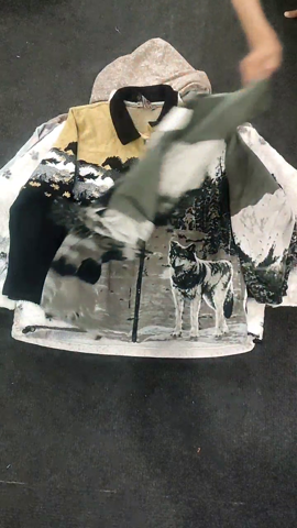 A descriptive alt text for this image